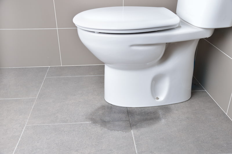 Toilet Repair & Replacement